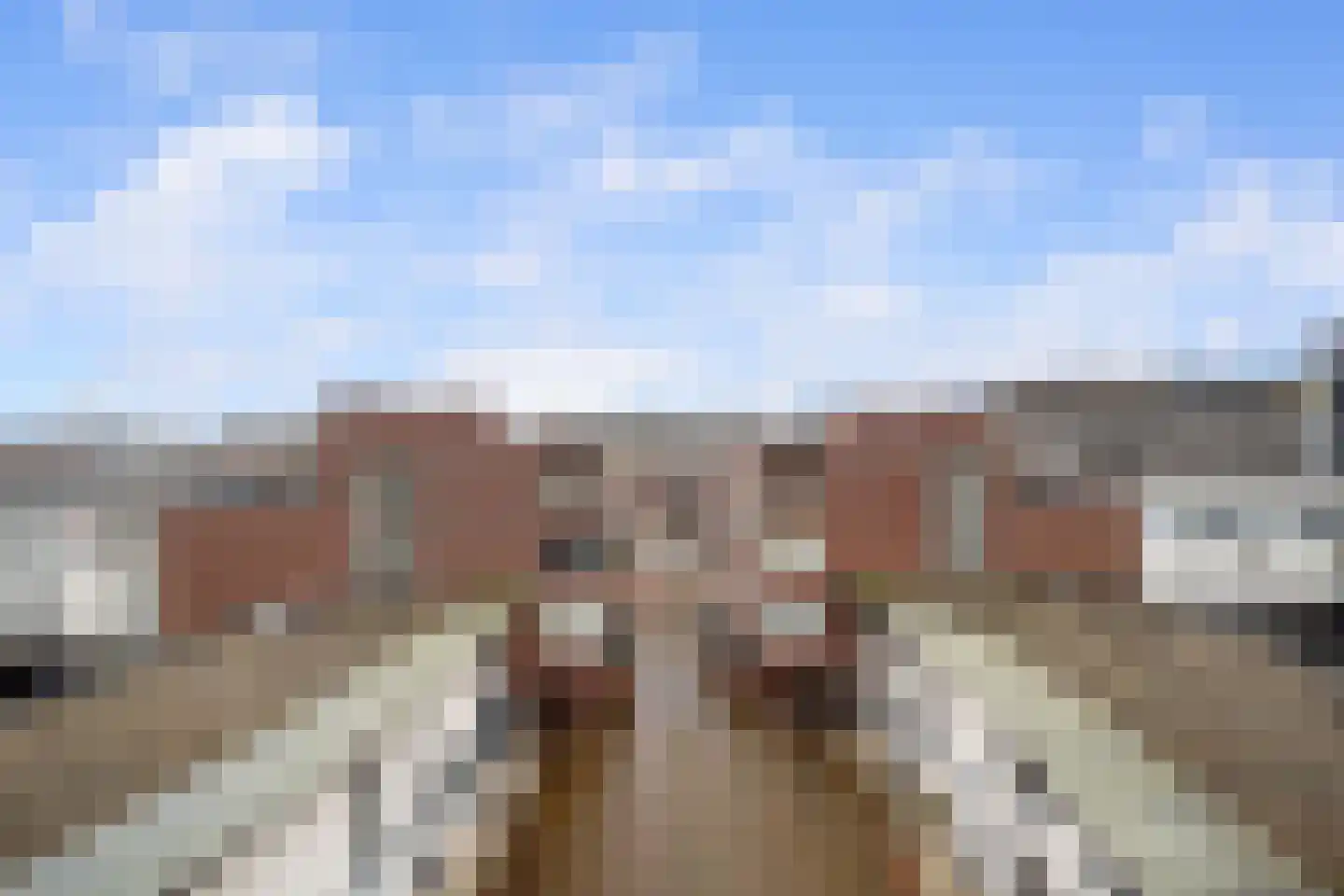 Stadserf 58 Schiedam thumbnail 23