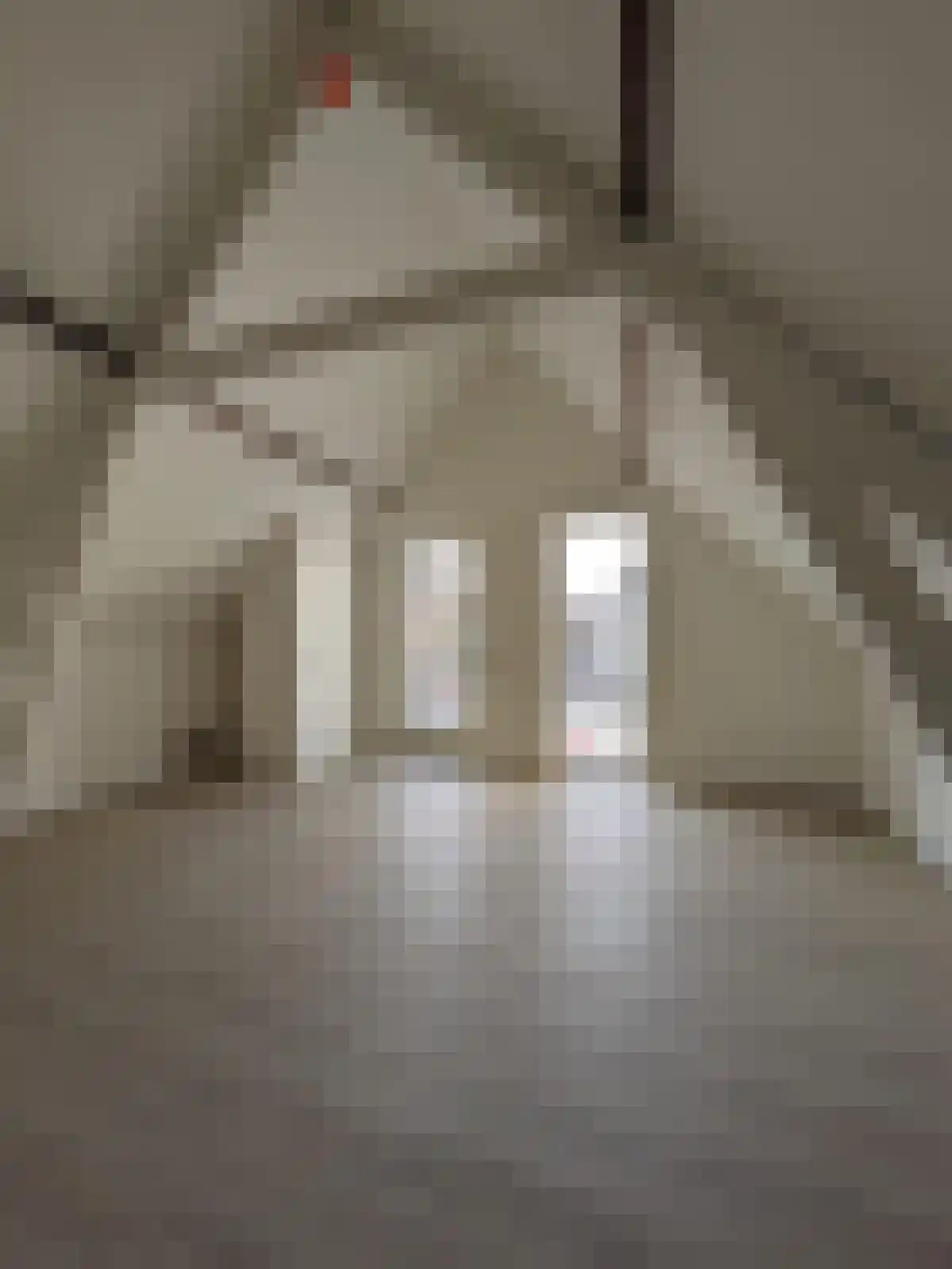 Stadserf 8 Breda thumbnail 6