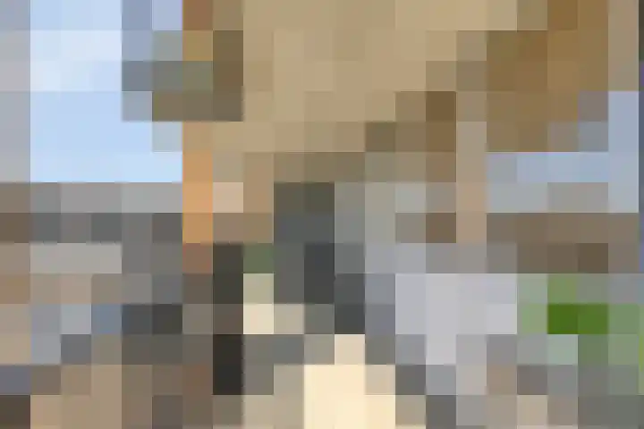 Stadserf 80 Schiedam thumbnail 15