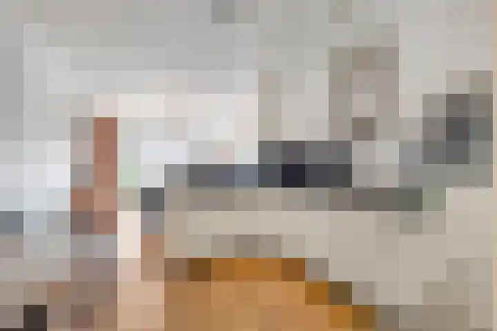 Stadserf 80 Schiedam thumbnail 16