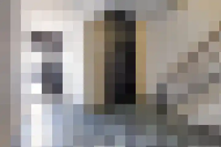 Stadserf 80 Schiedam thumbnail 24