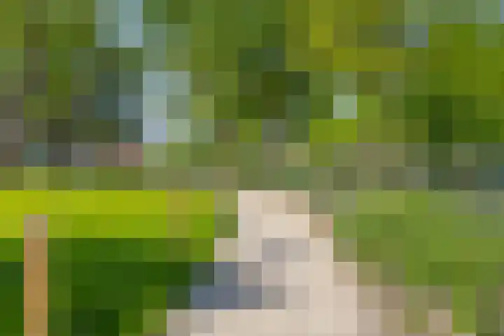 Stadserf 80 Schiedam thumbnail 26
