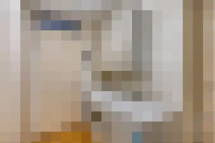 Stadserf 80 Schiedam thumbnail 27
