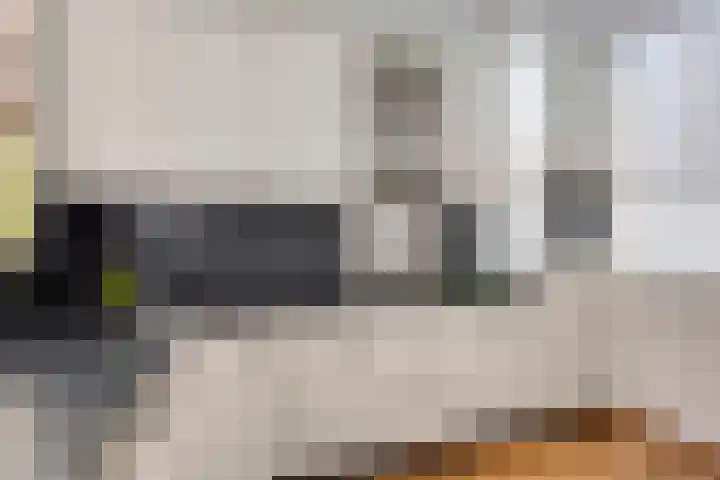 Stadserf 80 Schiedam thumbnail 5