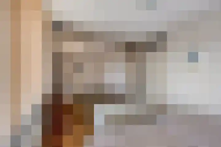 Stadserf 80 Schiedam thumbnail 9