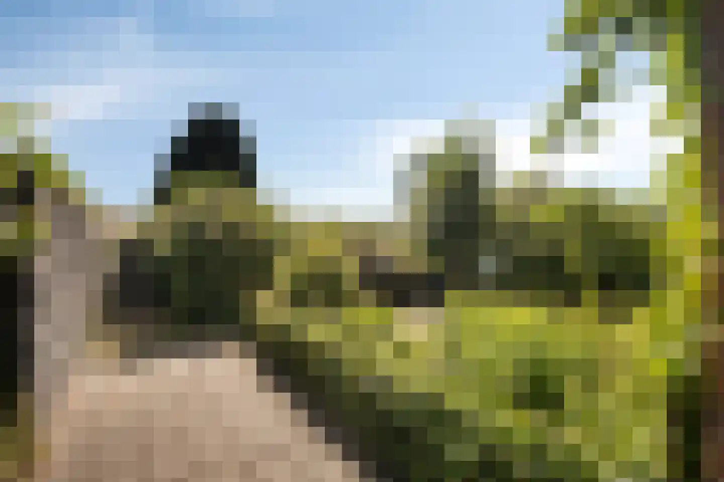 Stadsgracht 27 Bunschoten-Spakenburg thumbnail 39