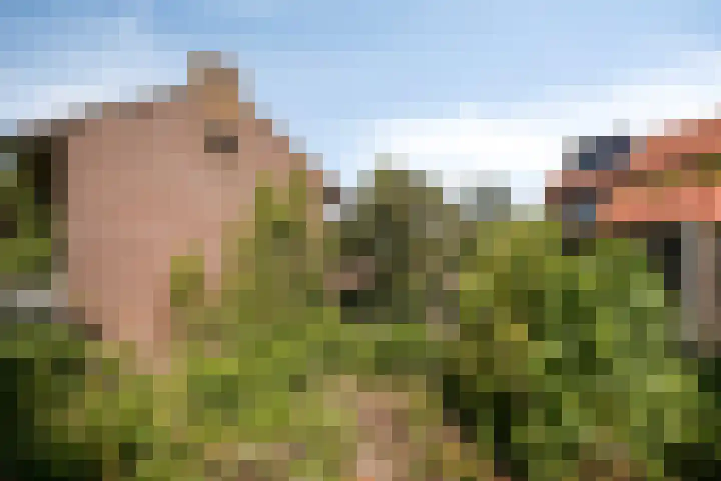Stadsgracht 27 Bunschoten-Spakenburg thumbnail 40