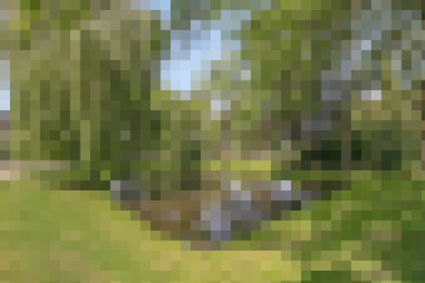 Stadsgracht 27 Bunschoten-Spakenburg thumbnail 42