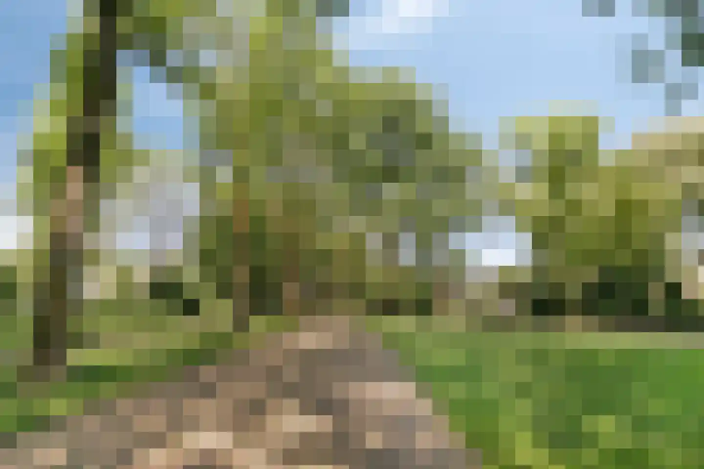 Stadsgracht 27 Bunschoten-Spakenburg thumbnail 43