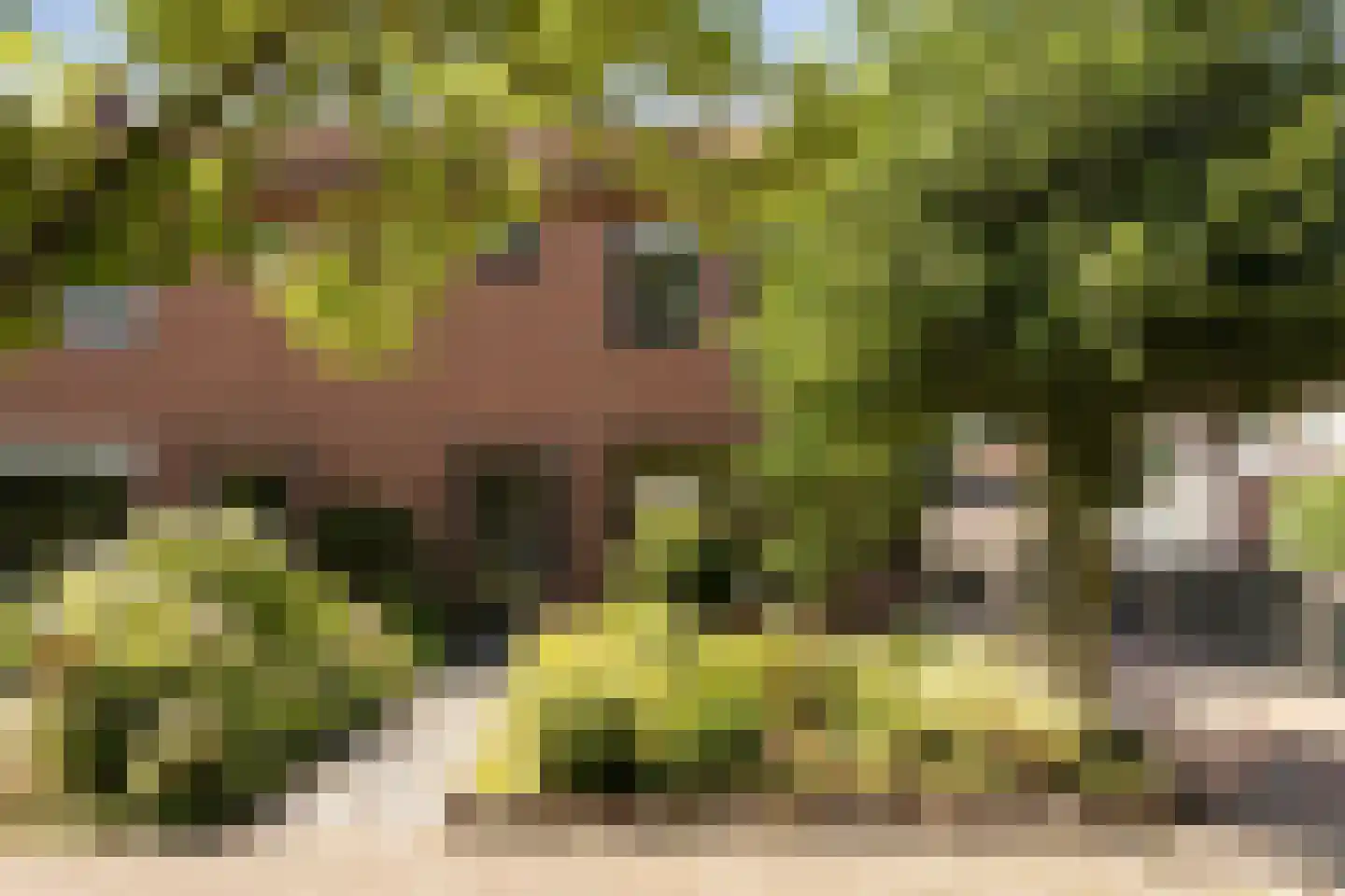 Stadsgracht 27 Bunschoten-Spakenburg thumbnail 5