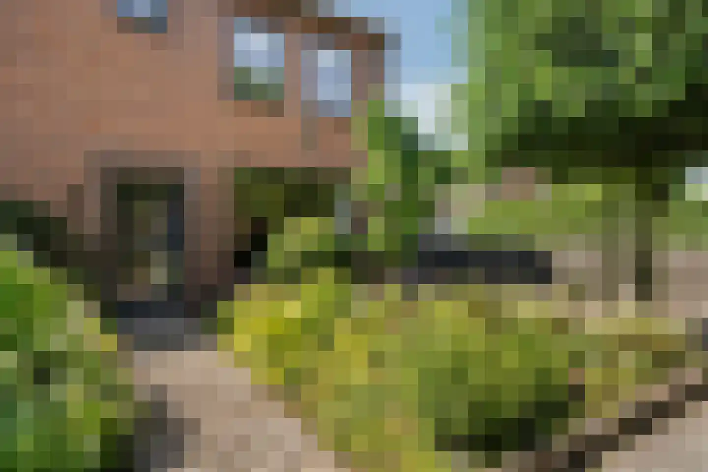 Stadsgracht 27 Bunschoten-Spakenburg thumbnail 6