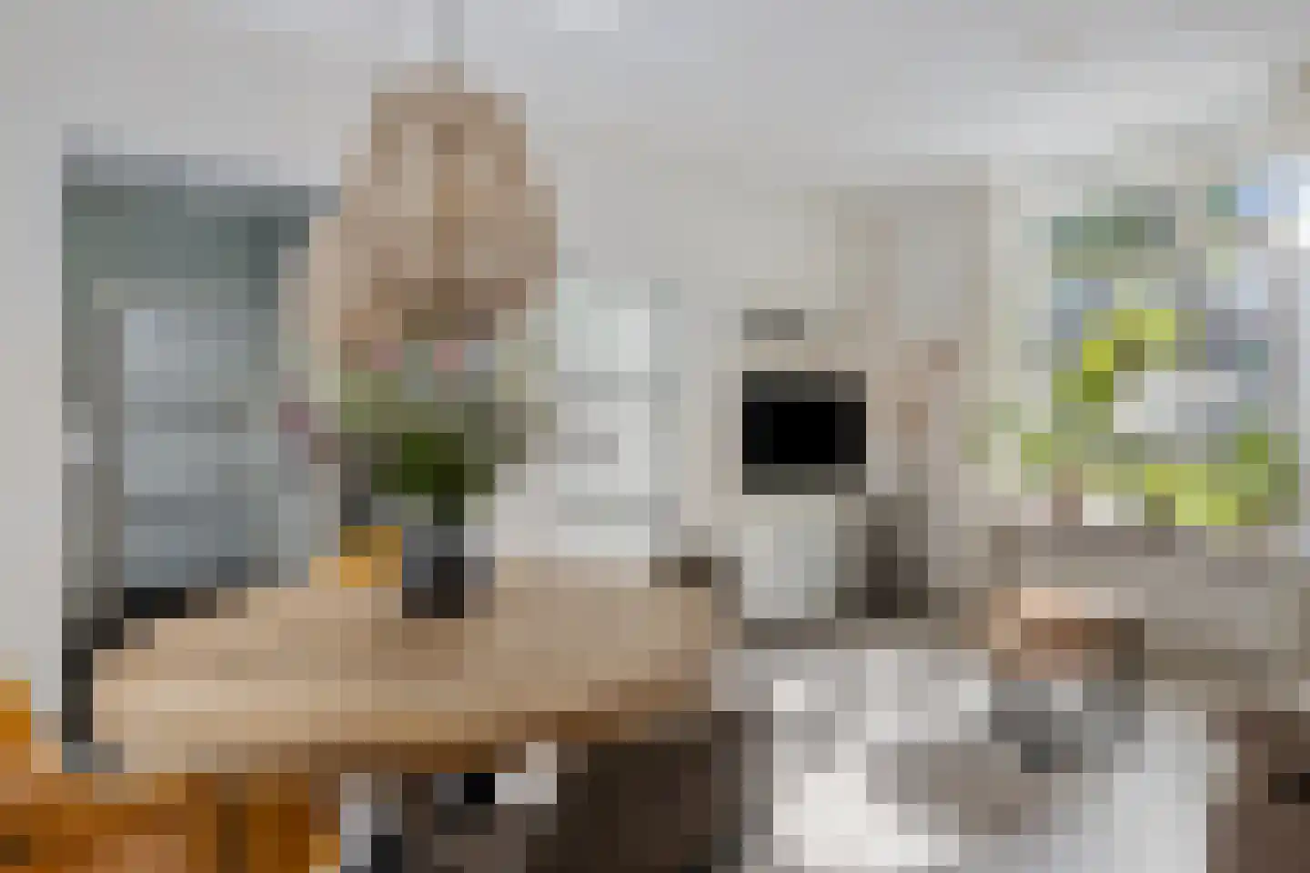 Stadsgracht 9 Zevenaar thumbnail 15