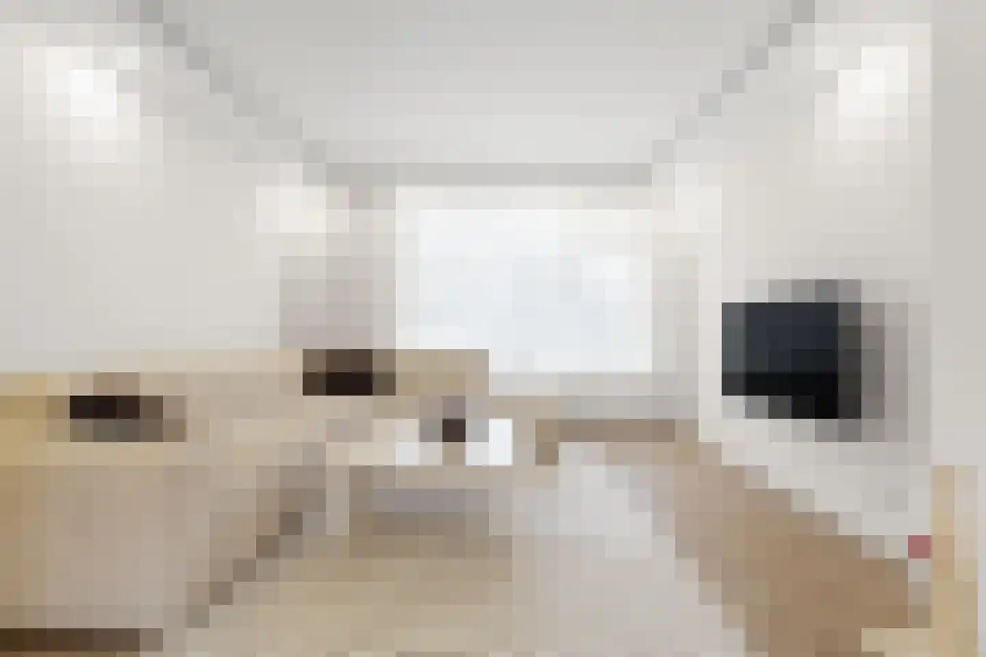 Stadshagen 10 Rotterdam thumbnail 5