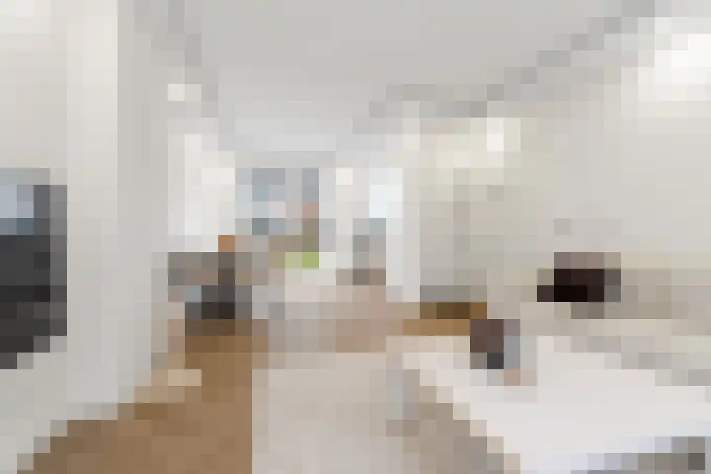 Stadshagen 10 Rotterdam thumbnail 7