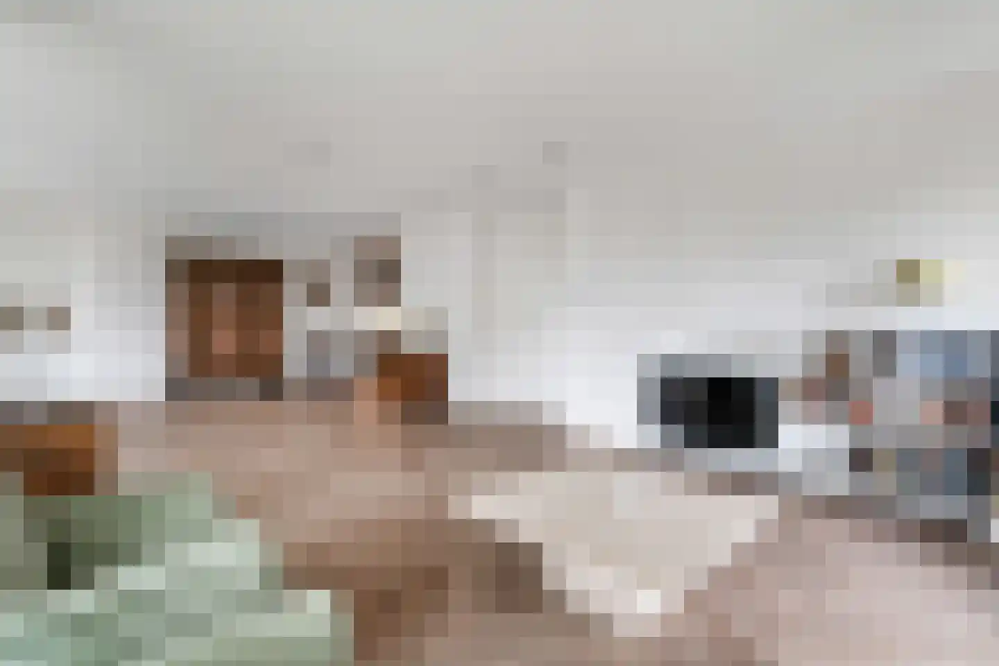 Stadshagen 121 Delden thumbnail 12