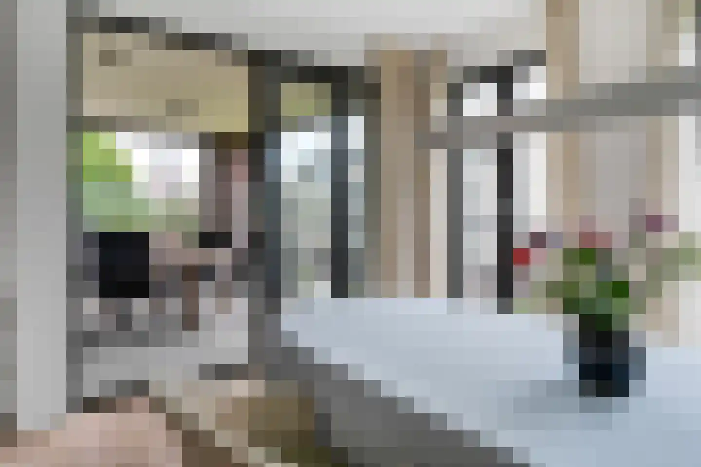 Stadshagen 121 Delden thumbnail 18