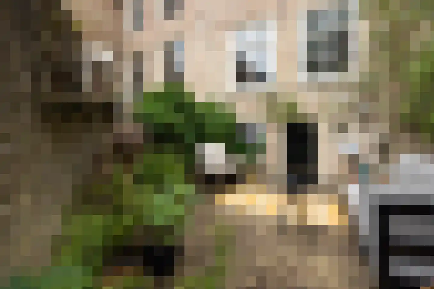 Stadshaven 18 Heusden thumbnail 25
