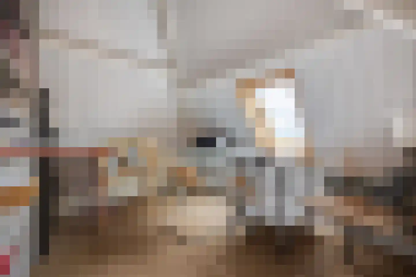 Stadshaven 18 Heusden thumbnail 54