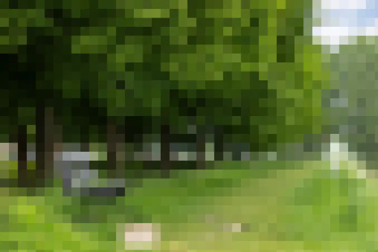 Stadshaven 18 Heusden thumbnail 65