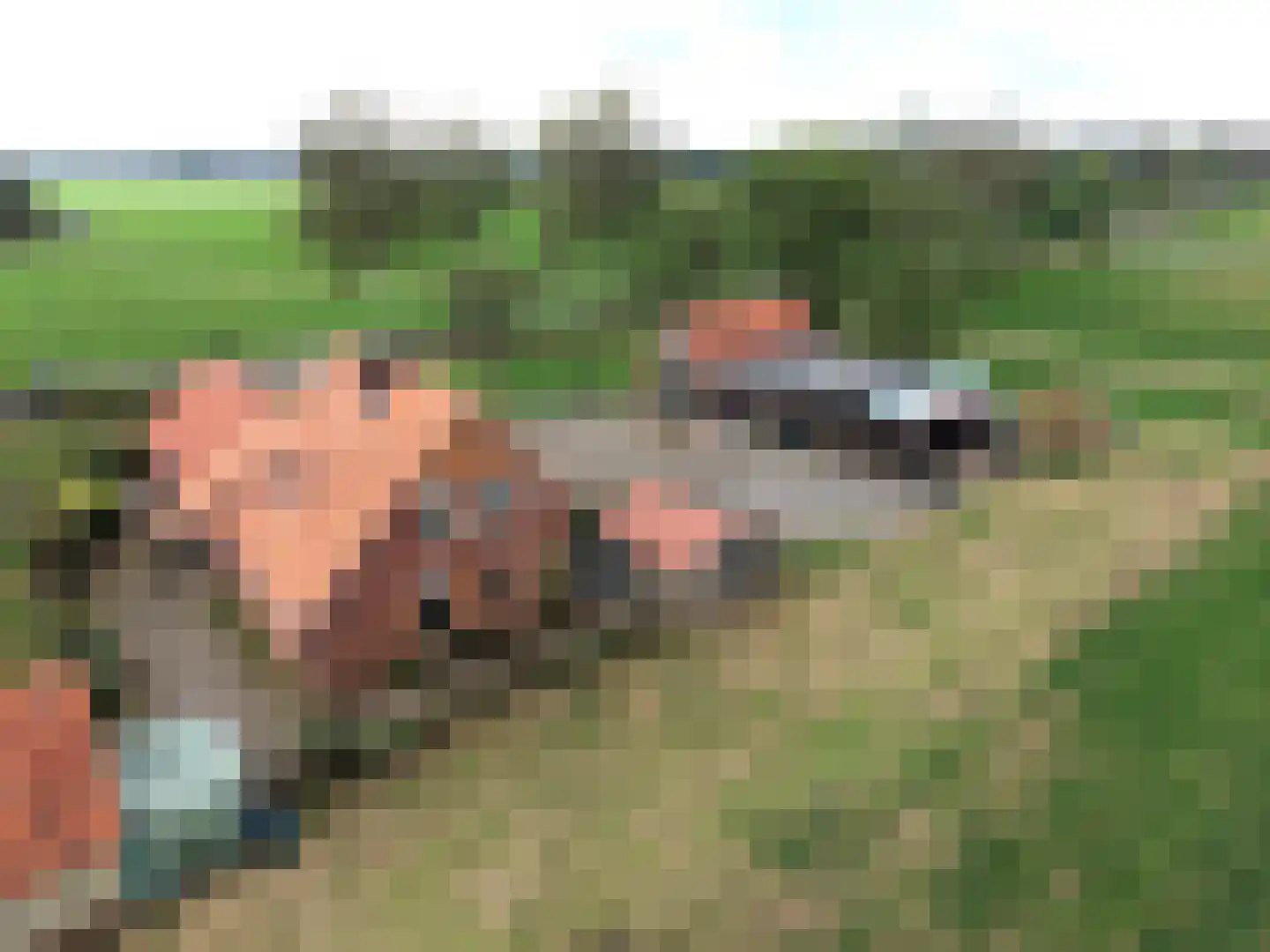 Stadsheidelaan 19 Doetinchem thumbnail 33