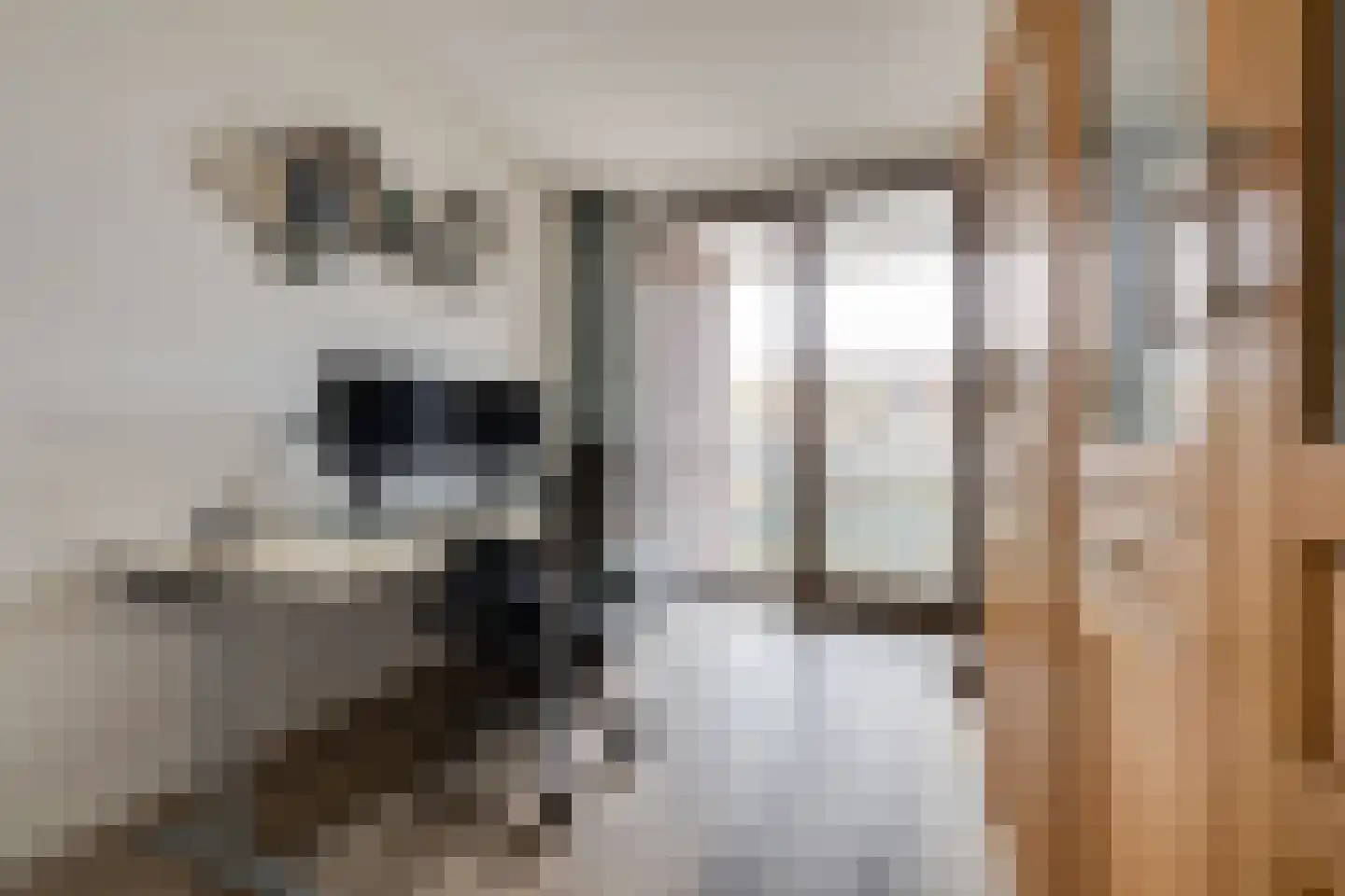 Stadskade 152 Apeldoorn thumbnail 19