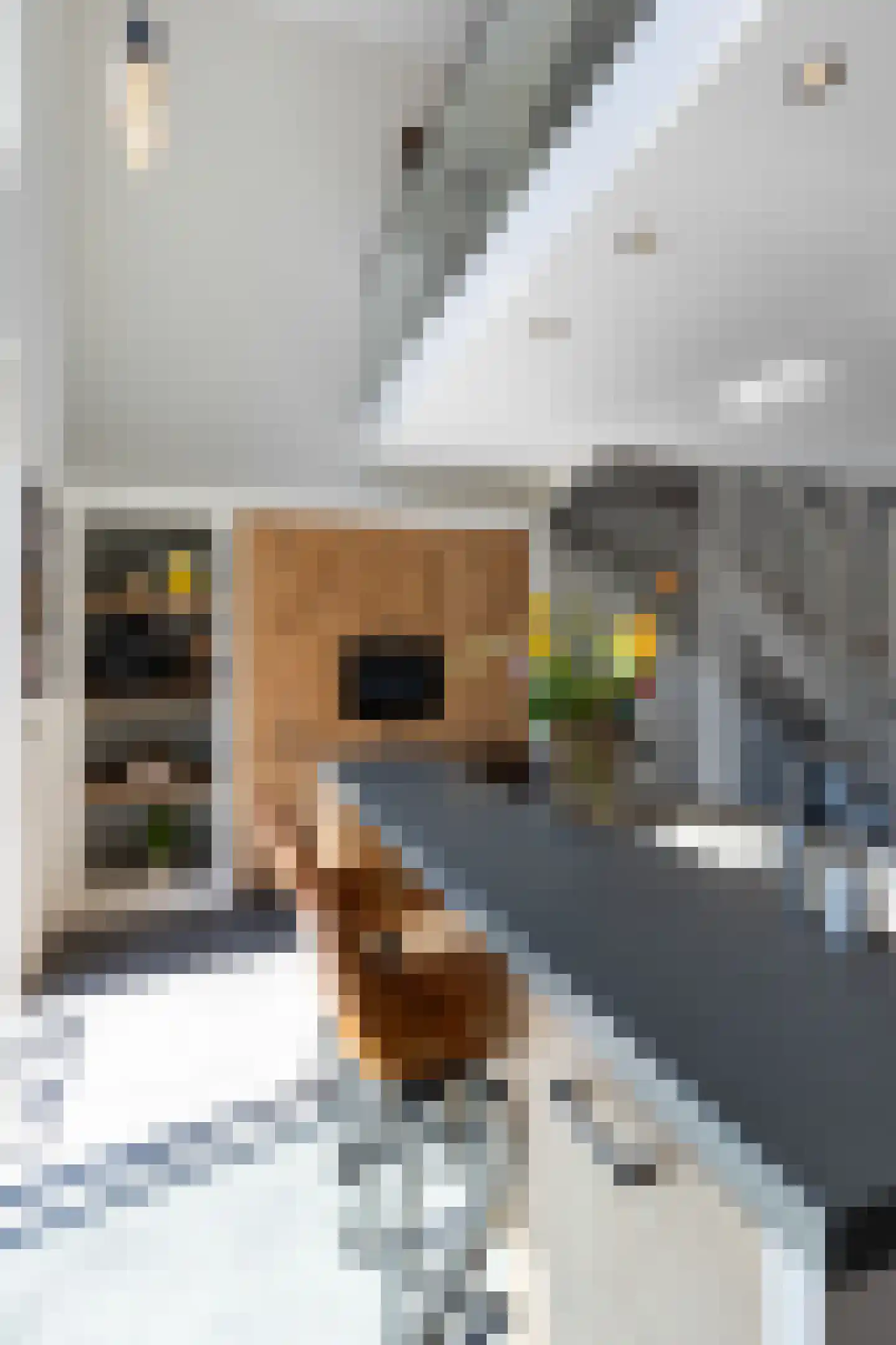 Stadskade 194 Apeldoorn thumbnail 11