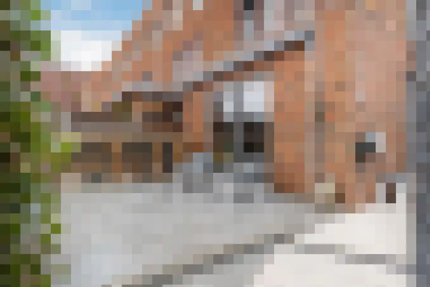 Stadskade 198 Apeldoorn thumbnail 15