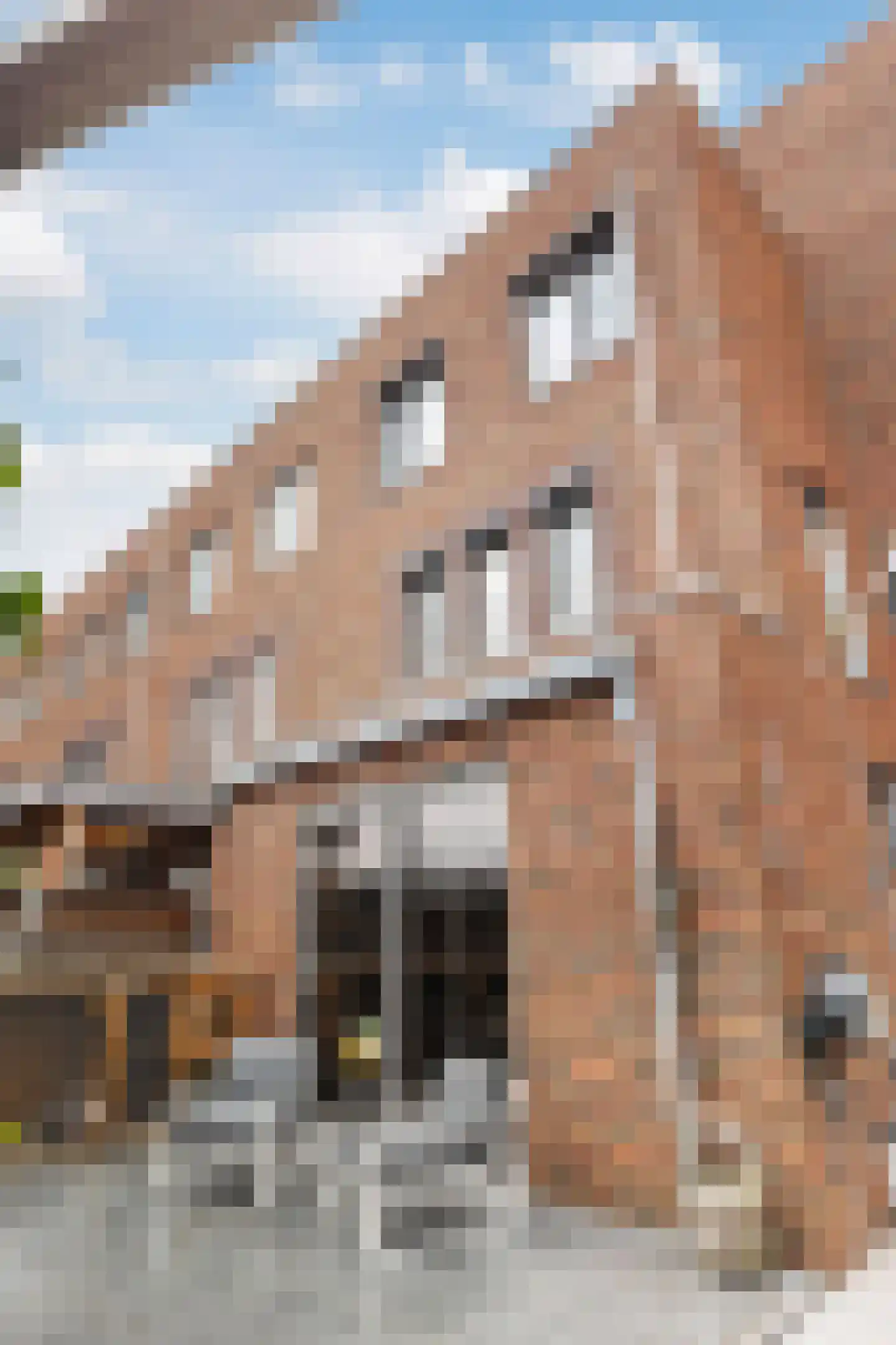 Stadskade 198 Apeldoorn thumbnail 16