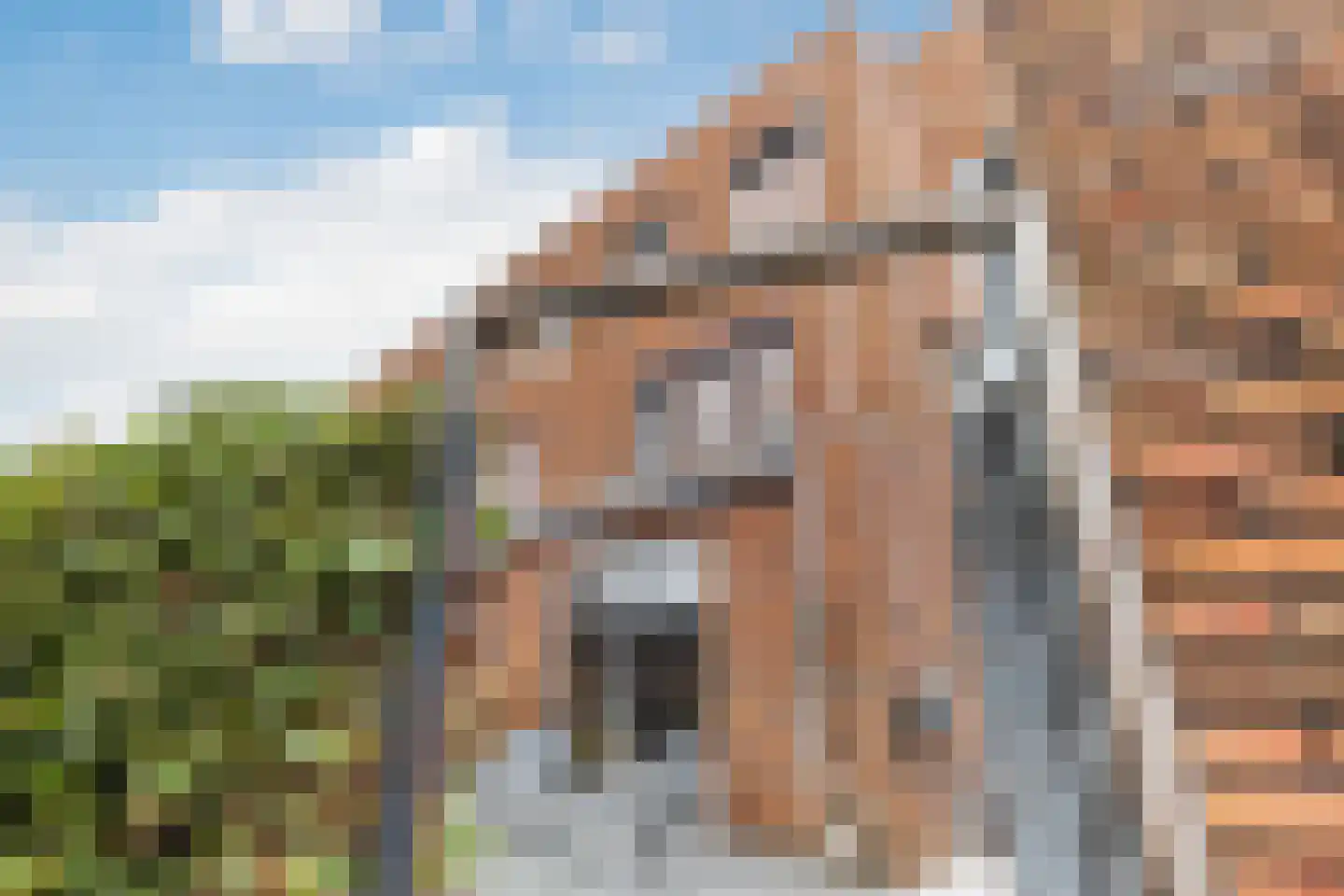 Stadskade 198 Apeldoorn thumbnail 19