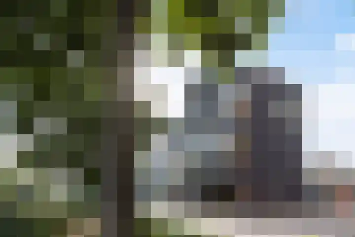 Stadskade 214 Apeldoorn thumbnail 4