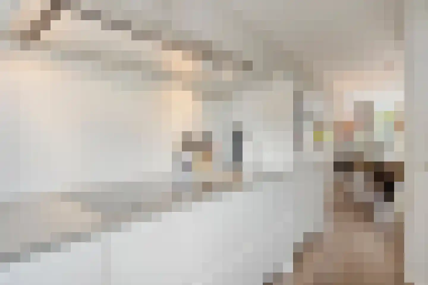 Stadskade 304 Apeldoorn thumbnail 9