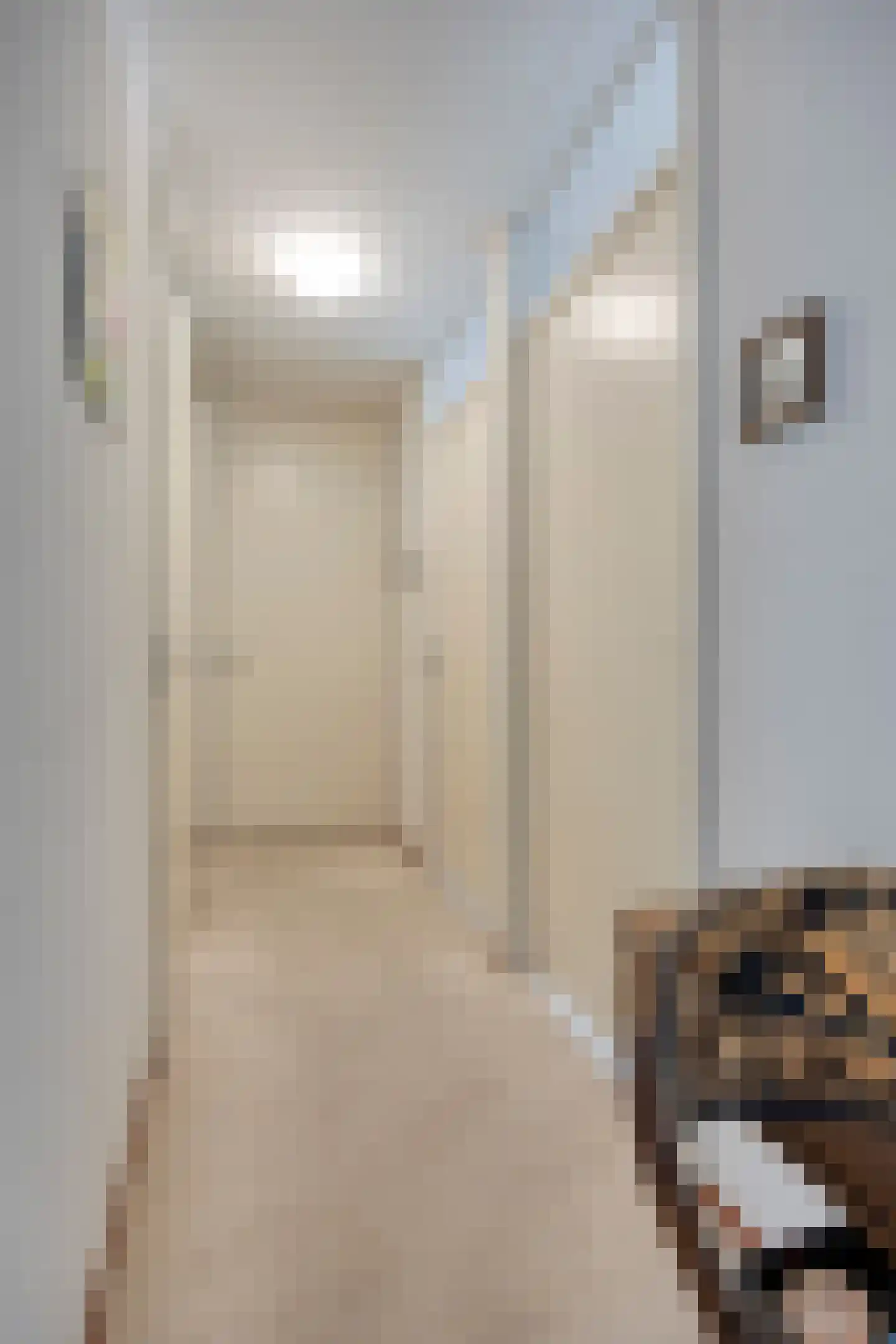 Stadskade 328 Apeldoorn thumbnail 14
