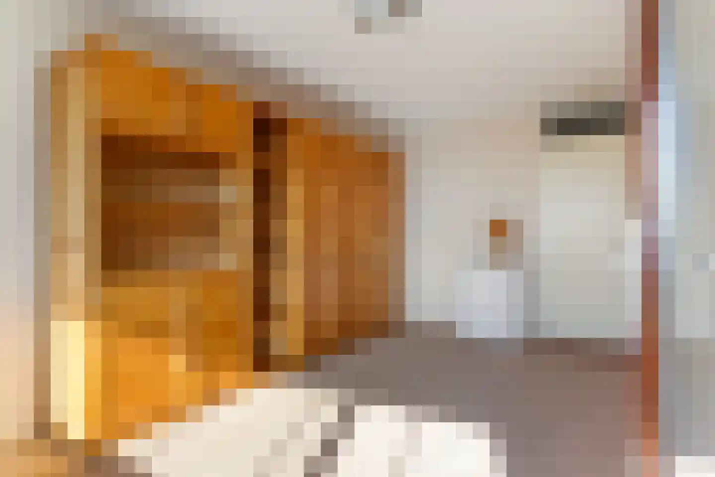 Stadskade 352 Apeldoorn thumbnail 13