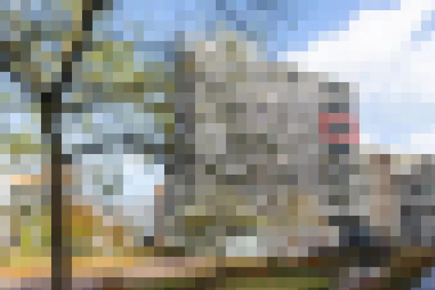 Stadskade 352 Apeldoorn thumbnail 39