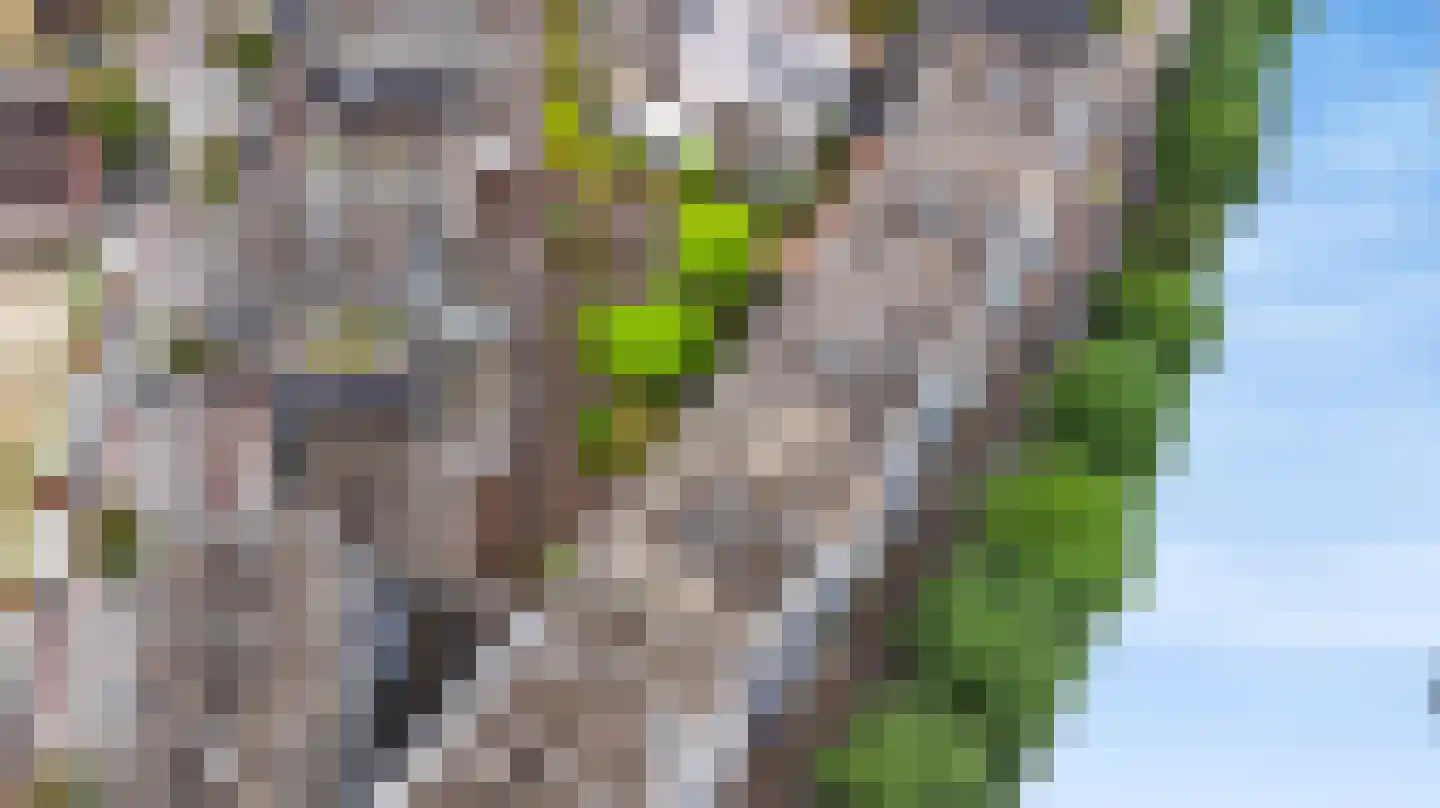 Stadskade 416 Apeldoorn thumbnail 34