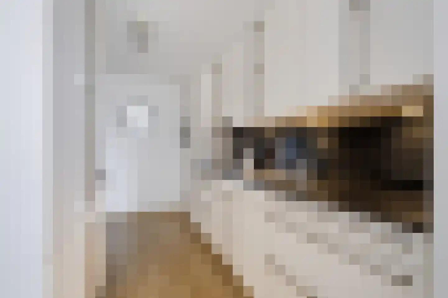 Stadskade 416 Apeldoorn thumbnail 9