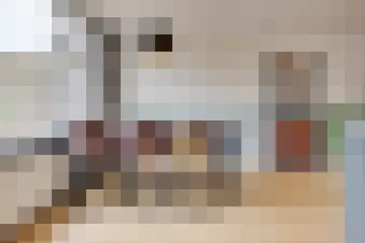 Stadskampstraat 13 's-Hertogenbosch thumbnail 10