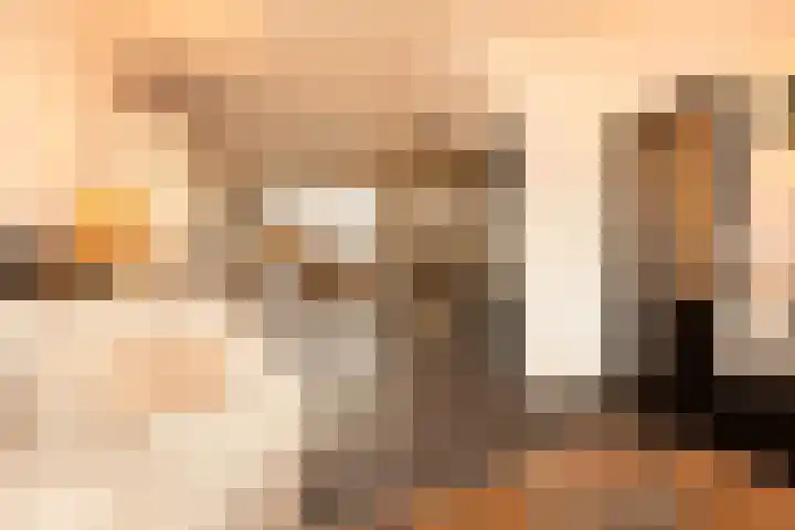 Stadskampstraat 18 's-Hertogenbosch thumbnail 11