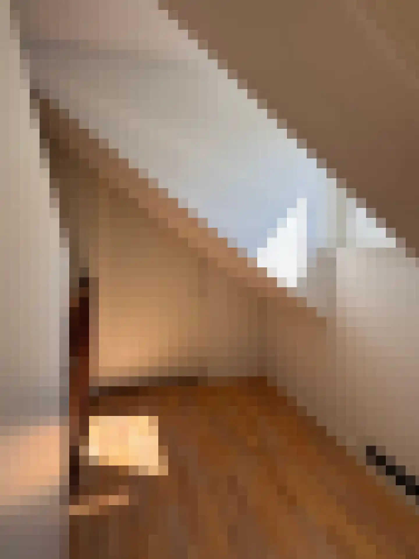 Stadslaan 4 Hattem thumbnail 30