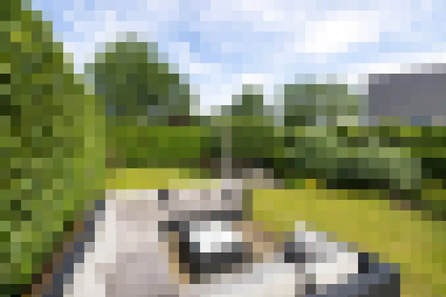 Stadslaan 4 Hattem thumbnail 44