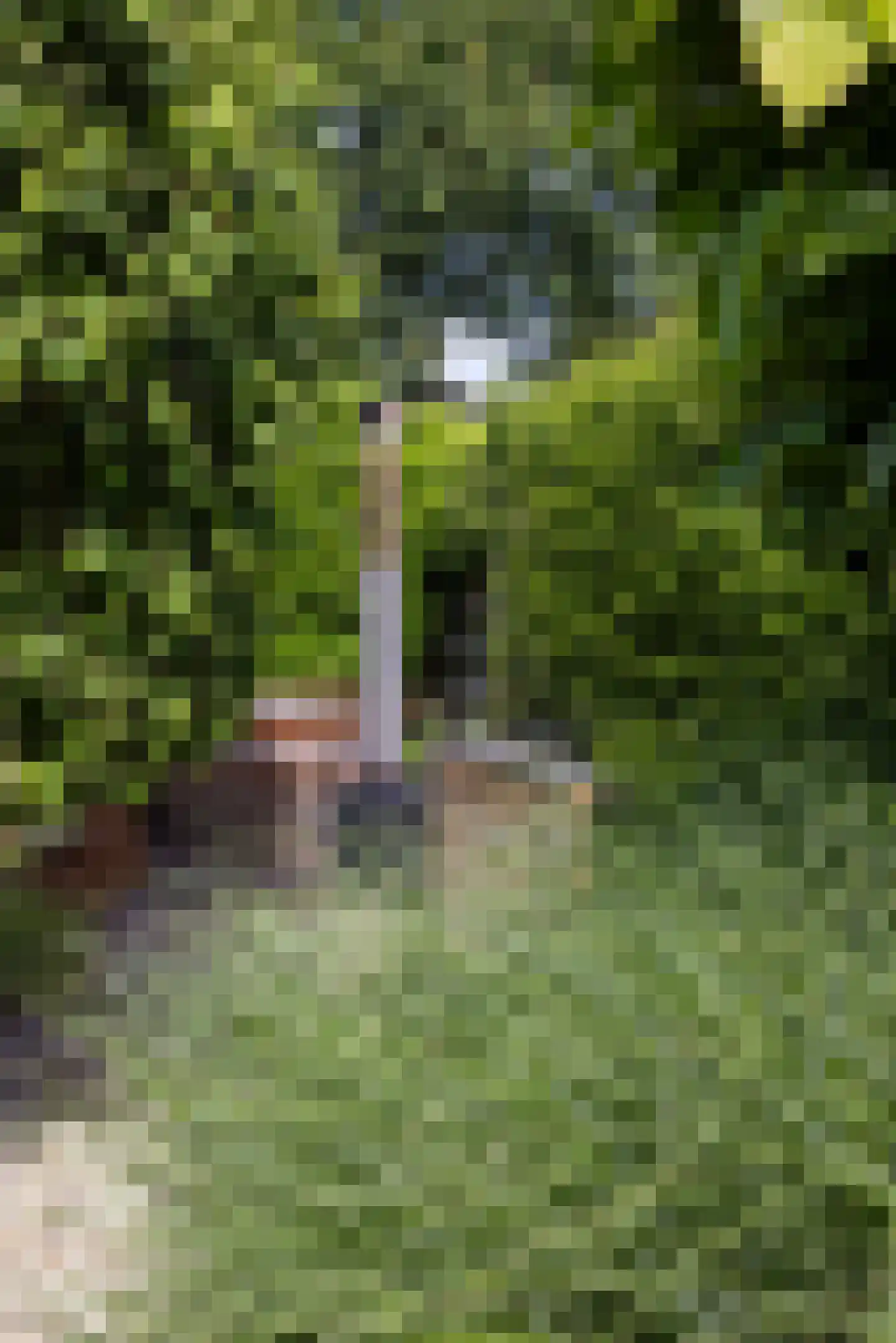 Stadslaan 4 Hattem thumbnail 45