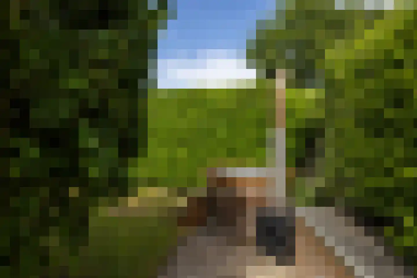 Stadslaan 4 Hattem thumbnail 46