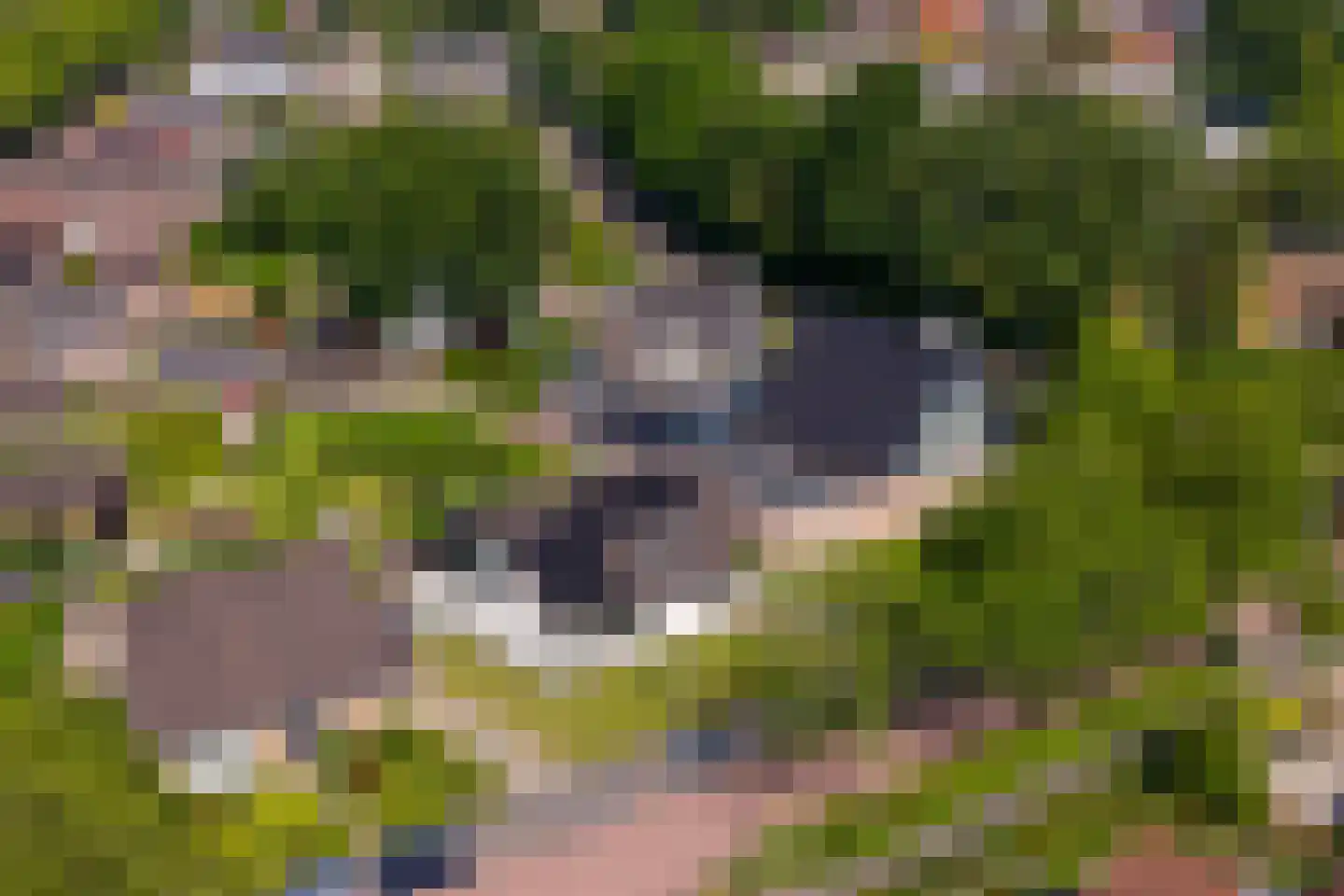 Stadslaan 4 Hattem thumbnail 52