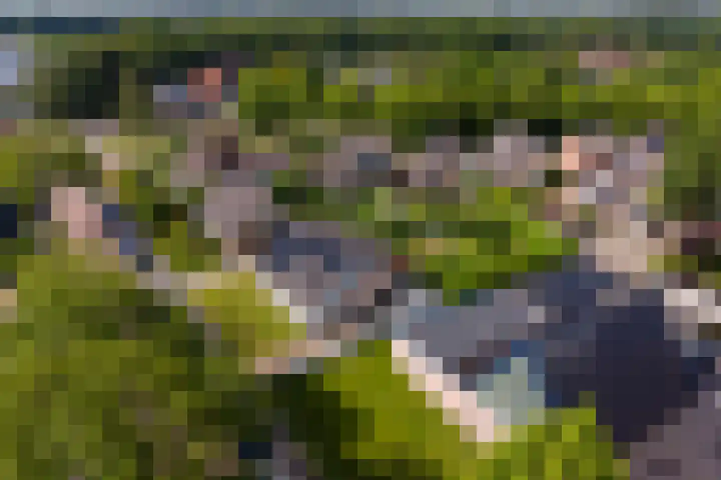 Stadslaan 4 Hattem thumbnail 53