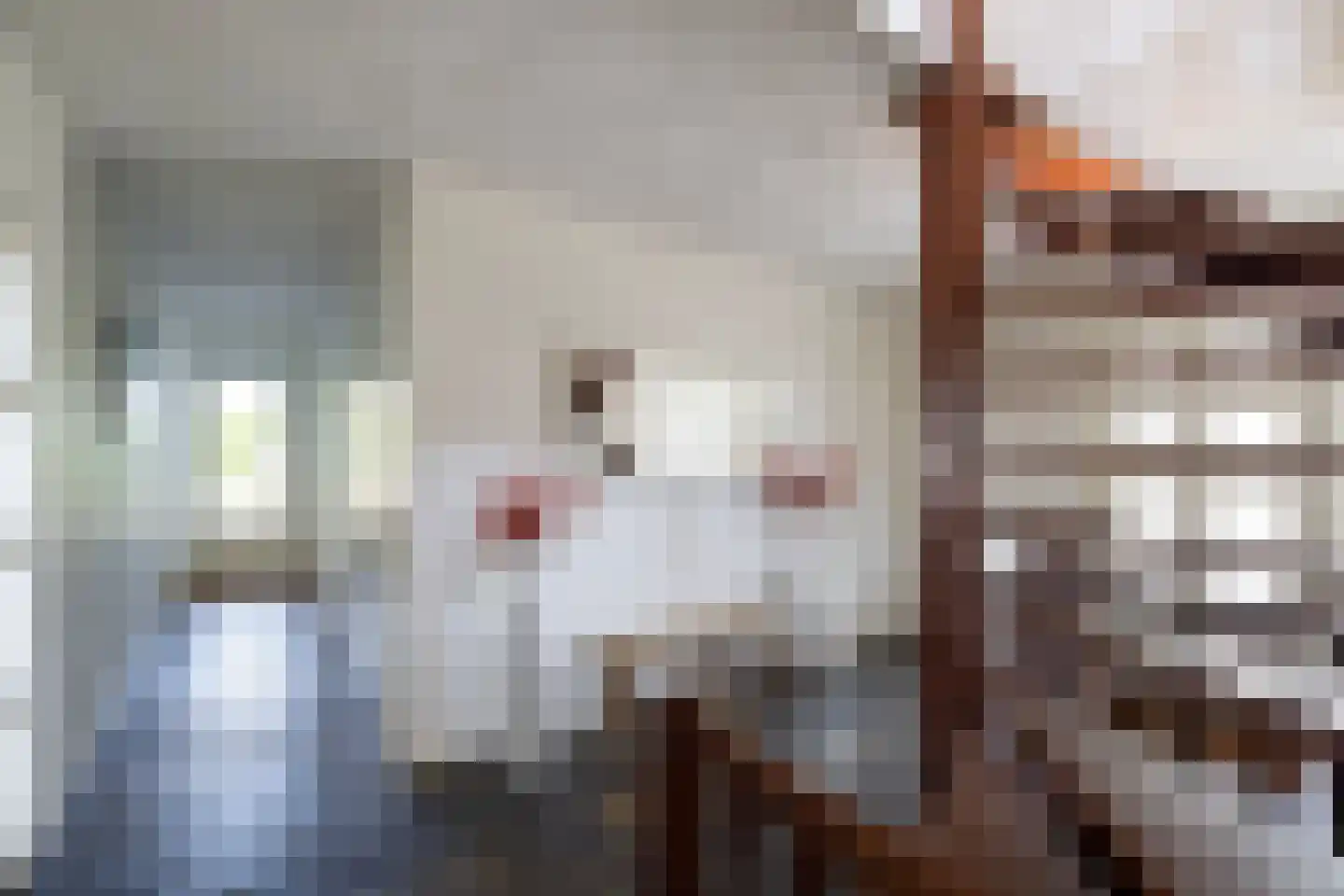 Stadslaan 4 Hattem thumbnail 8
