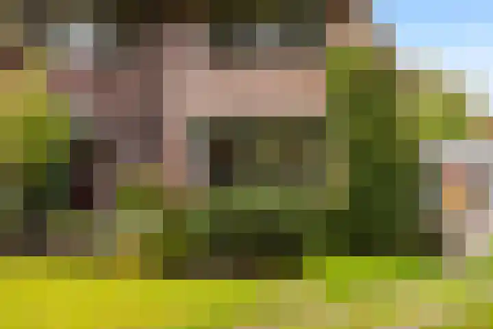 Stadslaan 60 Hattem thumbnail 10