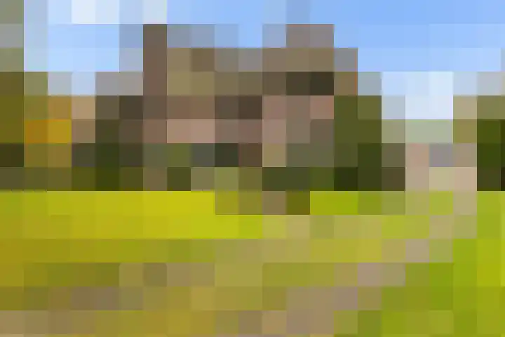 Stadslaan 60 Hattem thumbnail 6