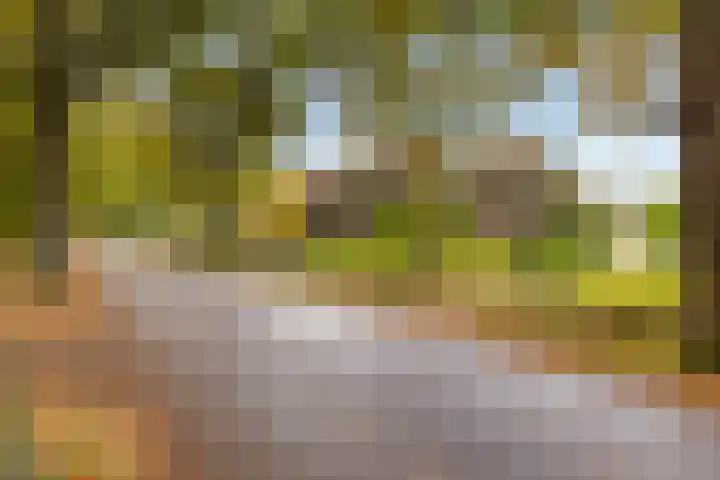 Stadslaan 60 Hattem thumbnail 9