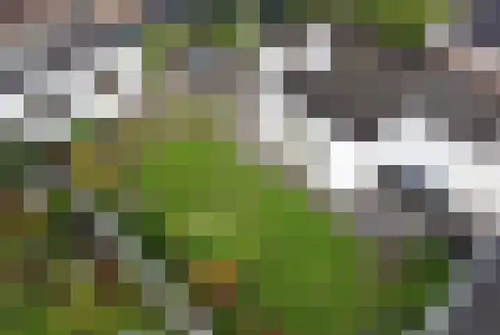 Stadslaan 78 Hattem thumbnail 32