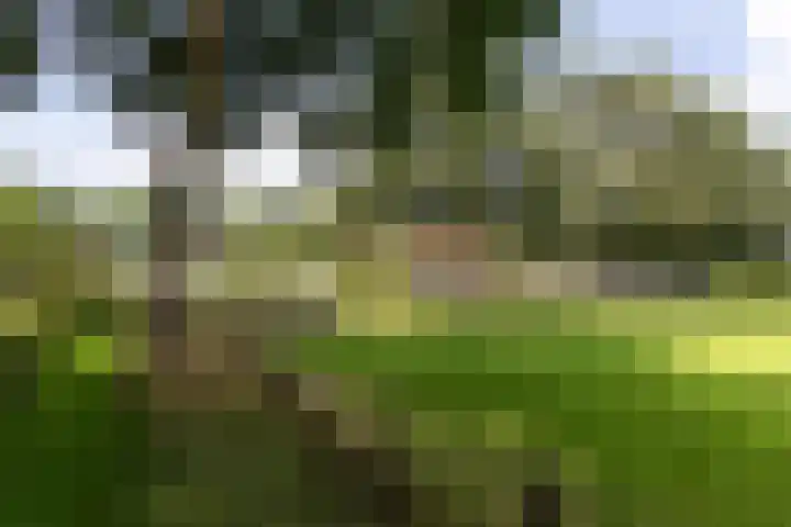 Stadslaan 78 Hattem thumbnail 36